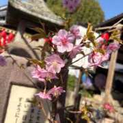 ヒメ日記 2026/03/02 14:18 投稿 ちふゆ 愛姫～ラブひめ～