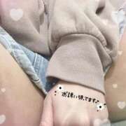 ヒメ日記 2025/11/28 08:52 投稿 るい ホワイトベル