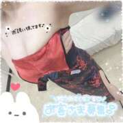 ヒメ日記 2025/12/11 23:13 投稿 るい ホワイトベル