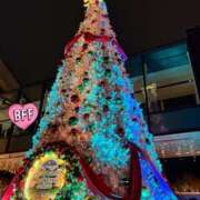 ヒメ日記 2025/12/16 09:06 投稿 まなか 錦糸町人妻ヒットパレード（シンデレラグループ）