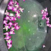 ヒメ日記 2026/01/10 15:42 投稿 まなか 錦糸町人妻ヒットパレード（シンデレラグループ）