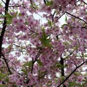 まなか 到着しました！ 錦糸町人妻ヒットパレード（シンデレラグループ）