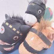 ヒメ日記 2025/09/30 10:29 投稿 ゆうな E+アイドルスクール　大阪・日本橋店