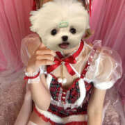 ヒメ日記 2025/12/25 14:55 投稿 ちか S-GALAXY