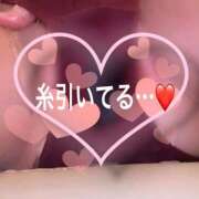 ヒメ日記 2025/10/04 08:39 投稿 ゆな 丸妻 横浜本店