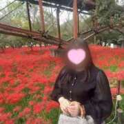 ヒメ日記 2025/10/04 08:48 投稿 ゆな 丸妻 横浜本店