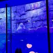 ヒメ日記 2025/10/20 21:33 投稿 ゆな 丸妻 横浜本店