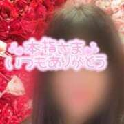 ヒメ日記 2025/11/12 23:51 投稿 ゆな 丸妻 横浜本店