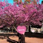 ゆな 癒し🩷 丸妻 横浜本店