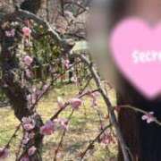 ヒメ日記 2026/03/12 13:30 投稿 ゆな 丸妻 横浜本店