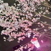 ヒメ日記 2026/03/26 22:40 投稿 ゆな 丸妻 横浜本店