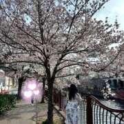 ヒメ日記 2026/03/30 21:30 投稿 ゆな 丸妻 横浜本店