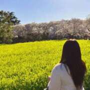 ヒメ日記 2026/04/05 20:21 投稿 ゆな 丸妻 横浜本店