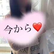 ヒメ日記 2026/06/11 15:21 投稿 ゆな 丸妻 横浜本店