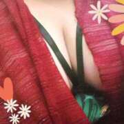 ヒメ日記 2025/12/11 03:29 投稿 なつめ 西船巨乳ぽっちゃり　乳神さま