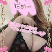 ヒメ日記 2025/11/06 06:16 投稿 あかり 水戸人妻花壇