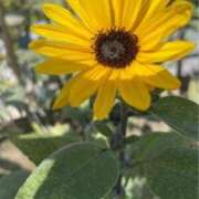 ヒメ日記 2025/11/03 10:11 投稿 めぐ 逢って30秒で即尺