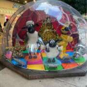 ヒメ日記 2025/12/13 21:34 投稿 めぐ 逢って30秒で即尺