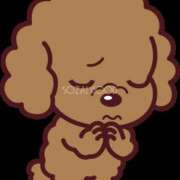 ヒメ日記 2026/02/03 17:24 投稿 めぐ 逢って30秒で即尺