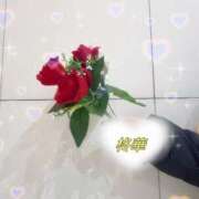 ヒメ日記 2025/10/26 19:34 投稿 平良柊華 お姉さんCLUB