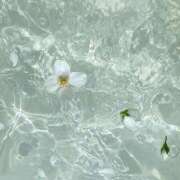 ヒメ日記 2025/10/07 20:05 投稿 夏希 あみ ホットアロマ