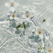 ヒメ日記 2025/11/15 11:06 投稿 夏希 あみ ホットアロマ