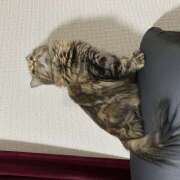 ヒメ日記 2025/11/16 11:44 投稿 まき プレイボーイ(八王子)