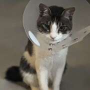 ヒメ日記 2025/12/21 10:03 投稿 まき プレイボーイ(八王子)