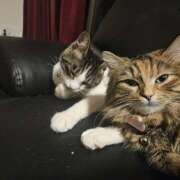 ヒメ日記 2026/04/13 15:18 投稿 まき プレイボーイ(八王子)