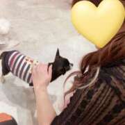 ヒメ日記 2025/09/24 02:45 投稿 るる ホワイトハウス