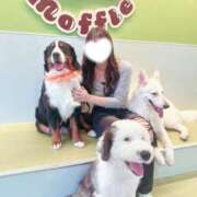 ヒメ日記 2025/12/31 01:52 投稿 るる ホワイトハウス