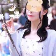 ヒメ日記 2026/04/03 00:59 投稿 Kaera LUXURY（ラグジュアリー）