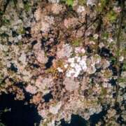 ヒメ日記 2026/04/03 12:02 投稿 かのん 仮面舞踏会