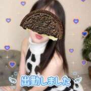 ヒメ日記 2025/10/18 11:02 投稿 白川さら 渋谷ミルク