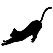 ヒメ日記 2025/10/14 16:19 投稿 NEKO TALL