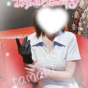 ヒメ日記 2026/04/05 14:00 投稿 たまき モアグループ宇都宮人妻花壇