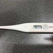 ヒメ日記 2025/09/19 15:07 投稿 オトハ(奥方) 奥様幕府