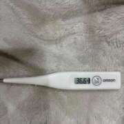 ヒメ日記 2025/09/22 15:37 投稿 オトハ(奥方) 奥様幕府