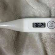 ヒメ日記 2025/09/25 14:27 投稿 オトハ(奥方) 奥様幕府