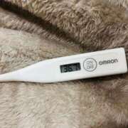 ヒメ日記 2025/11/03 14:07 投稿 オトハ(奥方) 奥様幕府