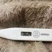 ヒメ日記 2025/11/05 14:17 投稿 オトハ(奥方) 奥様幕府