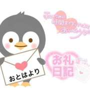 ヒメ日記 2025/11/07 04:37 投稿 オトハ(奥方) 奥様幕府