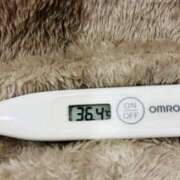 ヒメ日記 2025/11/07 14:37 投稿 オトハ(奥方) 奥様幕府