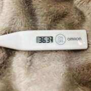 ヒメ日記 2025/11/08 15:07 投稿 オトハ(奥方) 奥様幕府