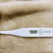 ヒメ日記 2025/12/16 15:39 投稿 オトハ(奥方) 奥様幕府