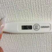 ヒメ日記 2025/12/17 15:27 投稿 オトハ(奥方) 奥様幕府