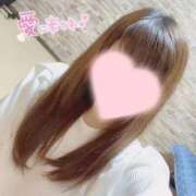 ヒメ日記 2025/12/18 03:47 投稿 オトハ(奥方) 奥様幕府