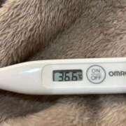 ヒメ日記 2025/12/22 15:07 投稿 オトハ(奥方) 奥様幕府