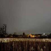 ヒメ日記 2026/01/16 21:47 投稿 オトハ(奥方) 奥様幕府