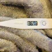 ヒメ日記 2026/01/17 14:48 投稿 オトハ(奥方) 奥様幕府